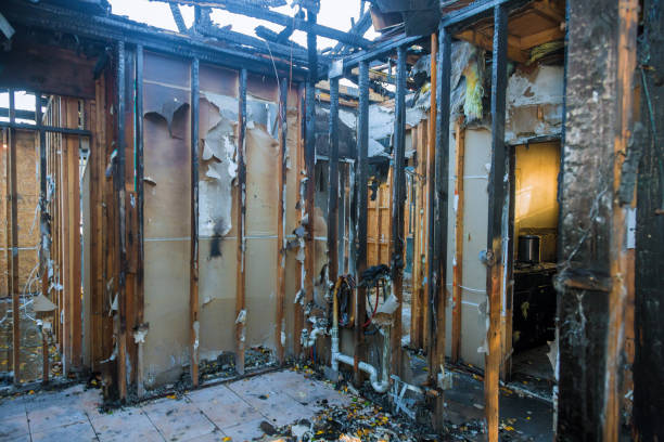 Professional Fire Damage Removal technician working in Merrionette Park, IL